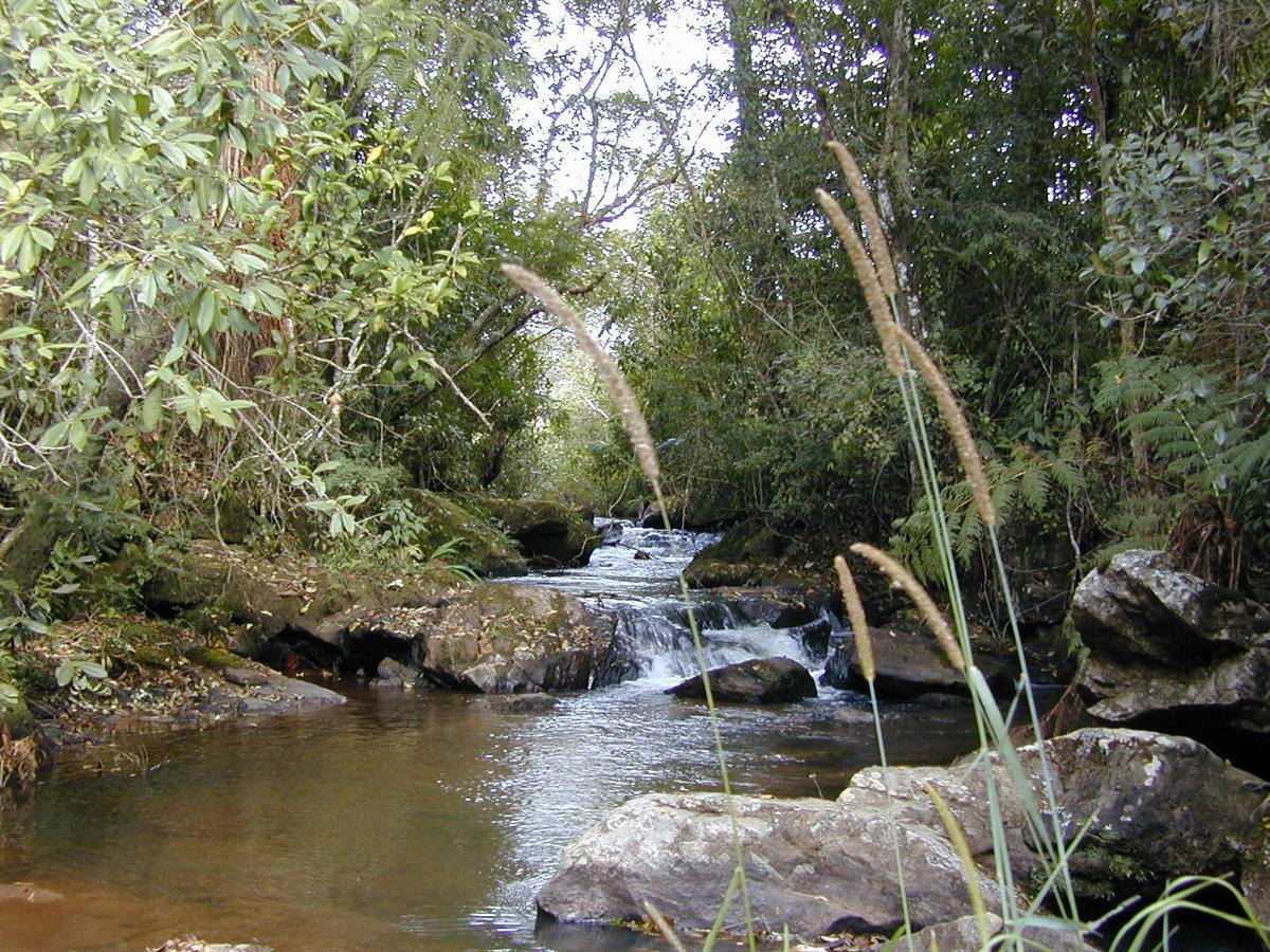 Casa De Campo Rustica Em Fazenda Usina Bocaina de Minas Bagian luar foto