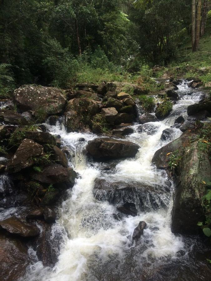 Casa De Campo Rustica Em Fazenda Usina Bocaina de Minas Bagian luar foto