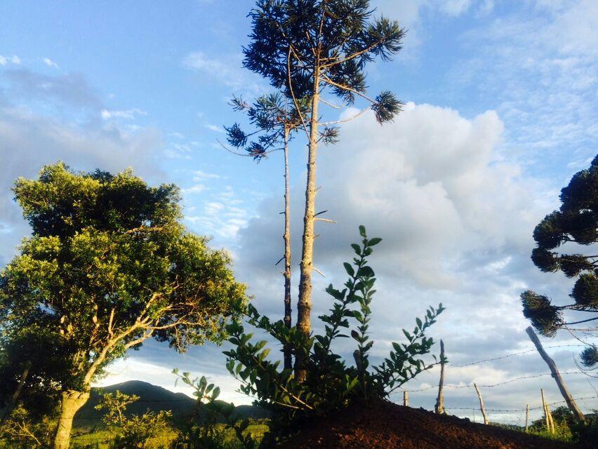 Casa De Campo Rustica Em Fazenda Usina Bocaina de Minas Bagian luar foto