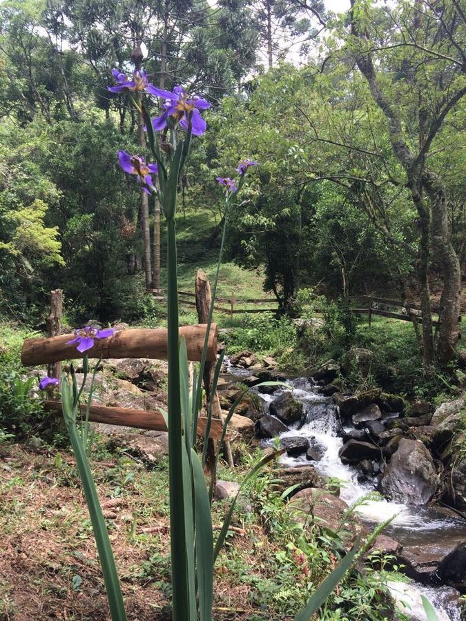 Casa De Campo Rustica Em Fazenda Usina Bocaina de Minas Bagian luar foto